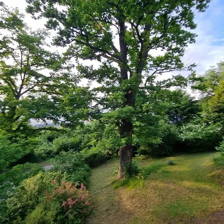 Apartment Flamingosuite 6 Min Zum *
